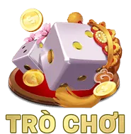 Hỗ trợ ưu tiên 24/7